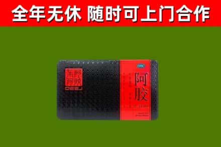 阿克苏回收阿胶